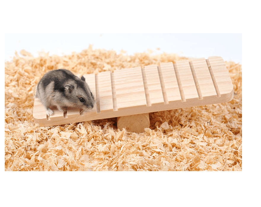 Pet Playtime Wooden Seesaw: A Fun And Durable Toy For Small Animals