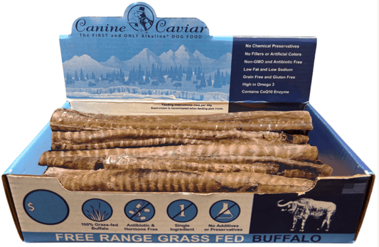 Canine Caviar Buffaroos 12" Premium Grass-Fed Buffalo Treats